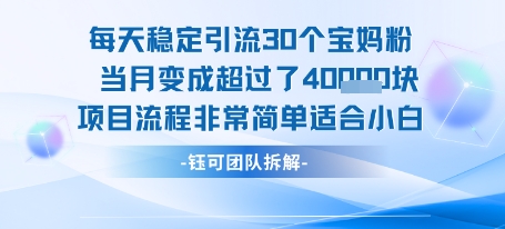 每天稳定引流30个人当月变成超过了4个W项目流程非常简单适合小白-十一网创