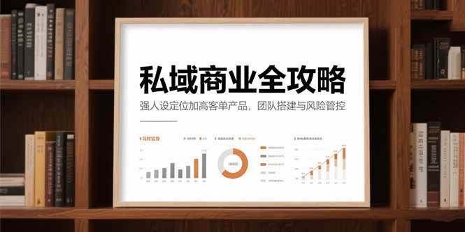 （15294期）私域商业全攻略，强人设定位加高客单产品，团队搭建与风险管控-十一网创