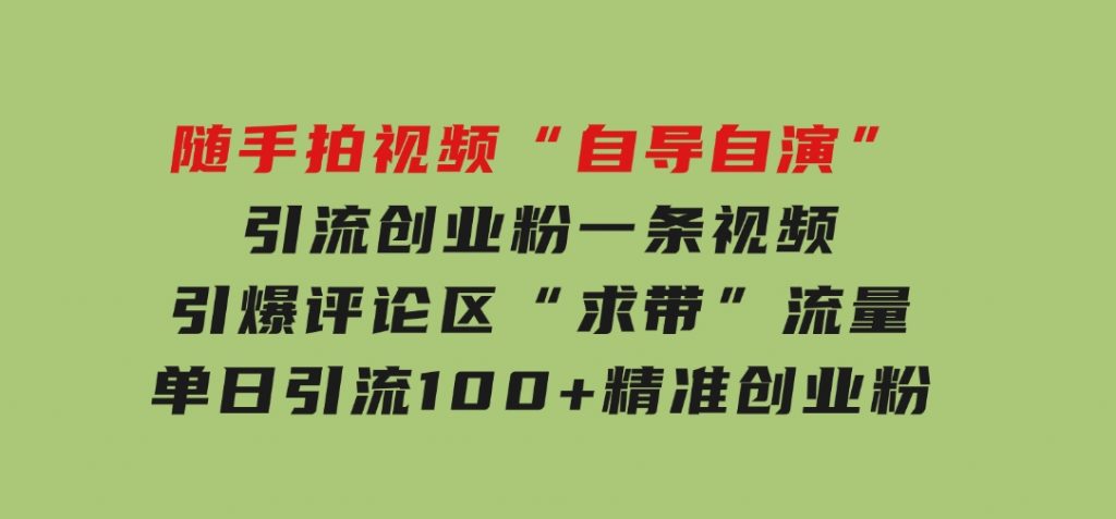 随手拍视频，“自导自演”引流创业粉，一条视频引爆评论区“求带”流量，单日引流100+精准创业粉-十一网创