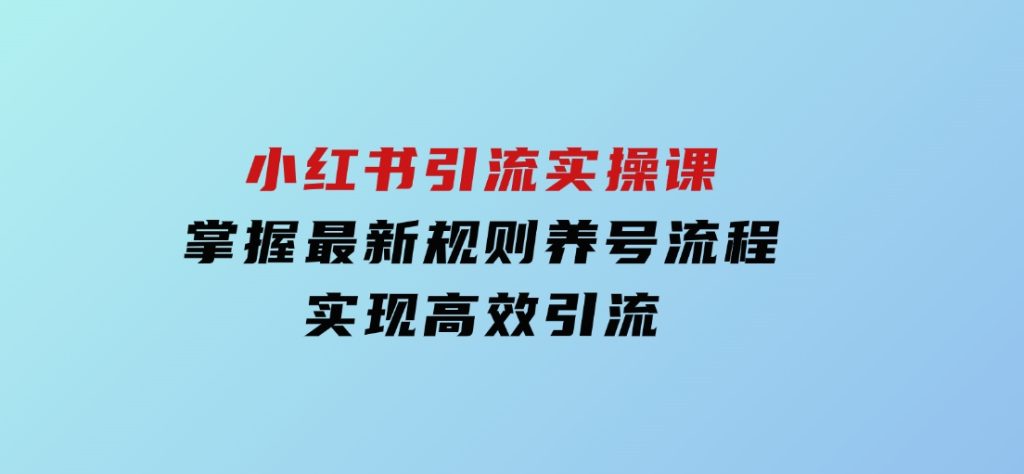 小红书引流实操课，掌握最新规则养号流程，实现高效引流-十一网创