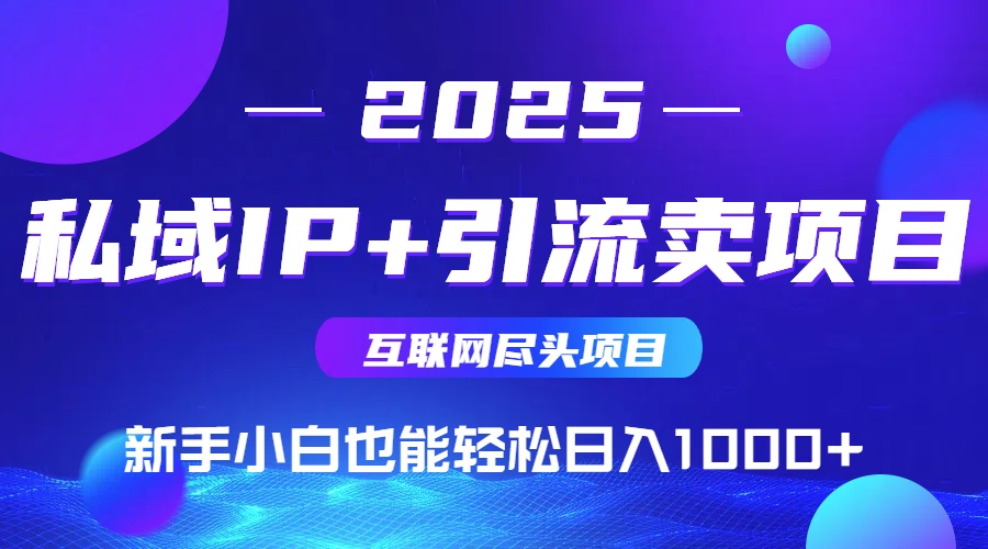 2025网创尽头项目，私域IP+引流，新手小白也能在家日入1000+-十一网创