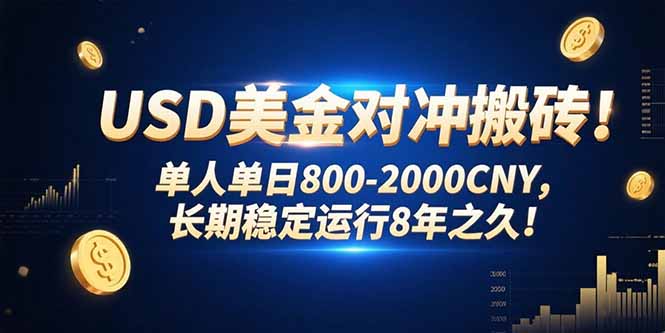 USD美金对冲搬砖!单人单日800-2000CNY，长期稳定运行8年之久!-十一网创