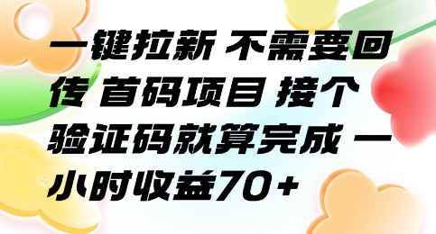 一键拉新不需要回传首码项目接个验证码就算完成一小时收益70+【揭秘】-十一网创