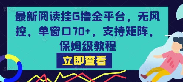最新阅读挂G撸金平台，无风控，单窗口70+，支持矩阵，保姆级教程【揭秘】-十一网创