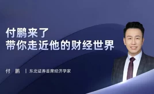 油管《付鹏财经世界》专栏合集-十一网创