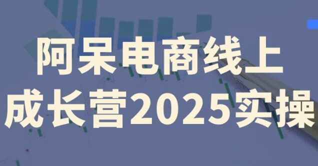 阿呆电商线上成长营2025实操-十一网创