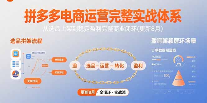 拼多多电商运营完整实战体系，从选品上架到稳定盈利完整商业闭环(更新8月-十一网创