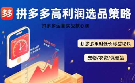 拼多多选品暴利技术实战课，拼多多高利润选品策略，拼多多限时低价标签秘诀-十一网创