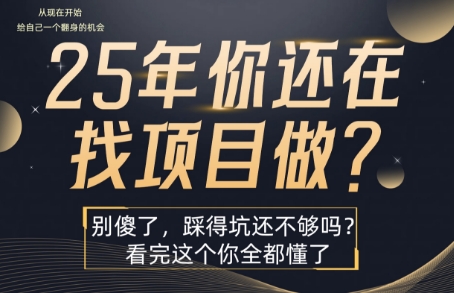 25年，你还在疯狂的找项目吗？别傻了，看完这个你都懂了【揭秘】-十一网创