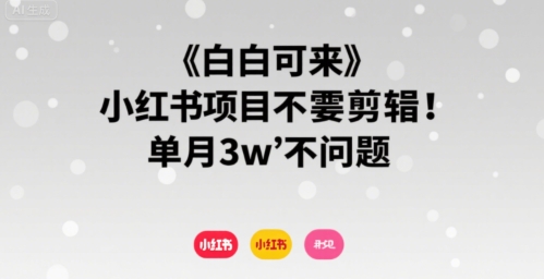 小白可来小红书项目不需要剪辑单月3w不是问题-十一网创
