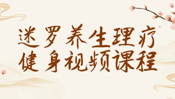 迷罗养生理疗健身视频课程-十一网创
