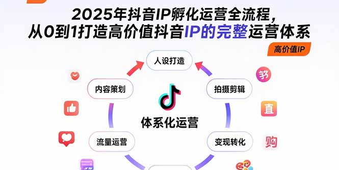 2025年抖音IP孵化运营全流程，从0到1打造高价值抖音IP的完整运营体系-十一网创