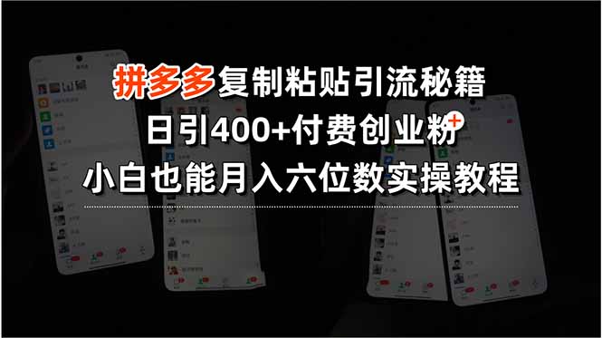 拼多多复制粘贴引流秘籍，日引400+付费创业粉，小白也能月入六位数实操…-十一网创