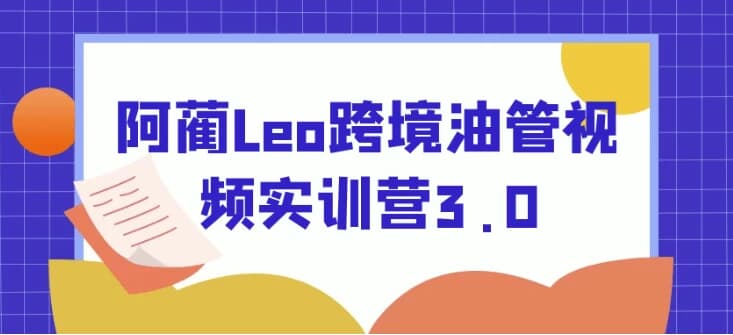 阿蔺Leo跨境油管视频实训营3.0-十一网创