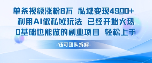 单条视频私域变现4.9k+利用AI做私域玩法已经开始火热0基础也能做的副业项目轻松上手-十一网创
