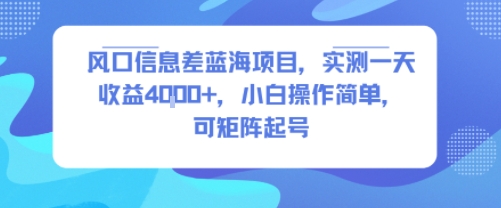 风口信息差蓝海项目，实测一天收益4k+，小白操作简单，可矩阵起号-十一网创