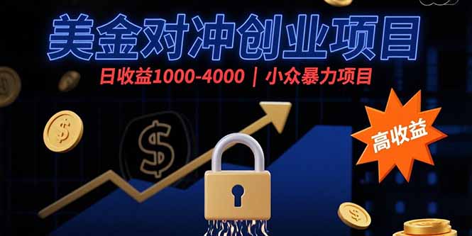 美金对冲创业项目，日收益1000-4000，小众暴力项目-十一网创