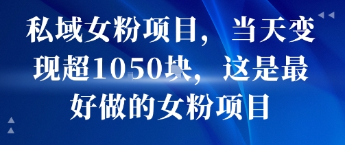私域女粉项目，当天变现超1k，这是最好做的女粉项目，可放大操作-十一网创