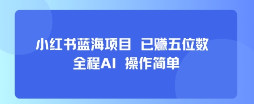 小红书蓝海项目，全程AI，操作简单，已挣五位数-十一网创