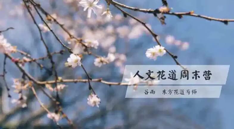 人文花道美学营-十一网创