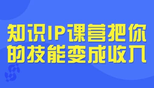 知识IP课营把你的技能变成收入-十一网创