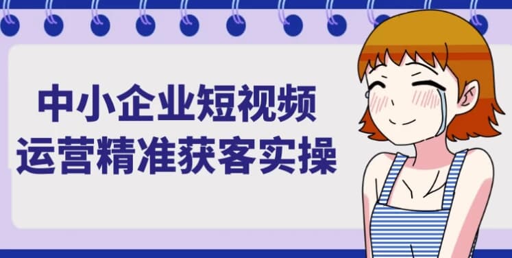 中小企业短视频运营精准获客实操-十一网创