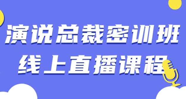 演说总裁密训班线上直播课程-十一网创