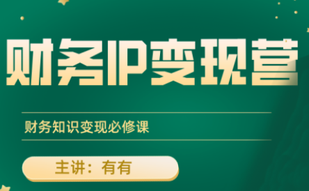 有有老师·财务IP变现营，财务知识变现必修课-十一网创