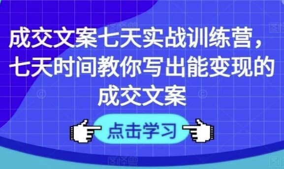 七天教你写出能变现的成交文案-十一网创
