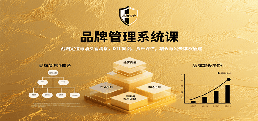 品牌管理系统课：战略定位与消费者洞察，DTC案例、资产评估，增长与公关体系搭建-十一网创
