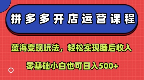 拼多多开店运营课程：蓝海变现玩法，轻松实现睡后收入，零基础小白也可日入5张-十一网创
