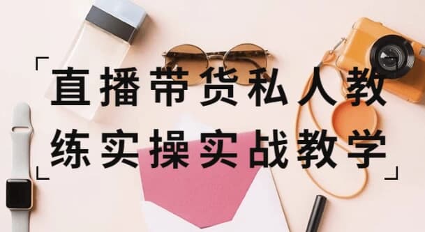 直播带货私人教练实操实战教学-十一网创