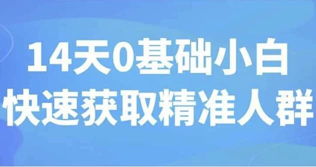 14天0基础小白快速获取精准人群-十一网创