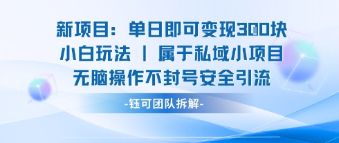 新项目单日即可变现3张的小白玩法无脑操作不封号安全引流-十一网创