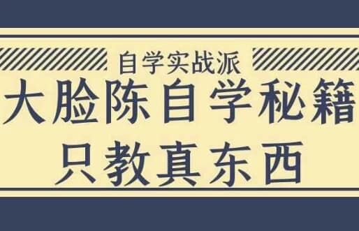 大脸陈自学秘籍只教真东西-十一网创