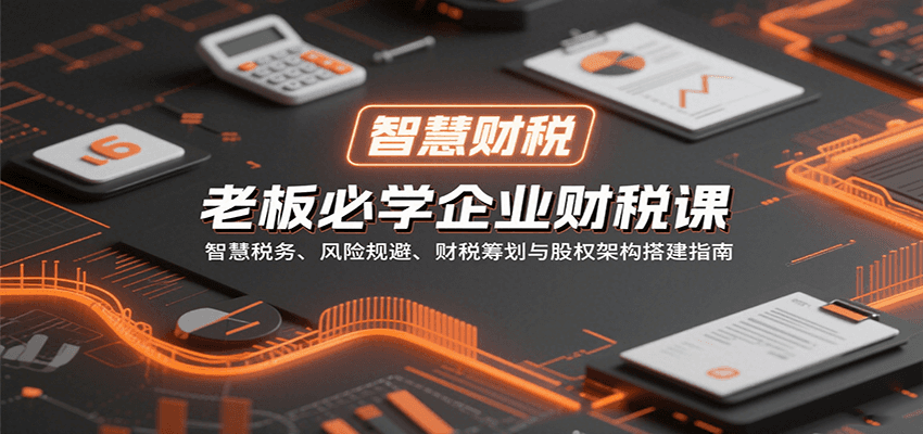 老板必学企业财税课：智慧税务、风险规避、财税筹划与股权架构搭建指南-十一网创