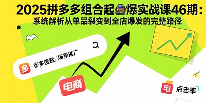 2025拼多多组合起爆实战课46期：系统解析从单品裂变到全店爆发的完整路径-十一网创