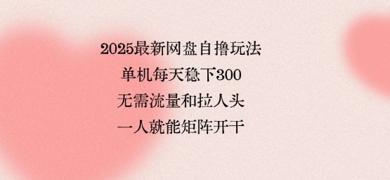 2025最新网盘自撸玩法，单机每天稳下3张，无需流量和拉人头，一个人就可轻松矩阵，全网独一份【揭秘】-十一网创