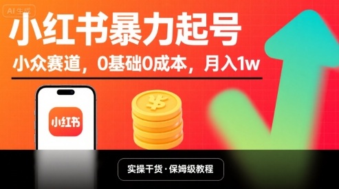 小红书暴力起号，小众赛道，0基础0成本，月入1w-十一网创