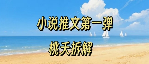 小说推文项目操作全流程第一弹，0粉就能做，门槛低非常适合新手-十一网创