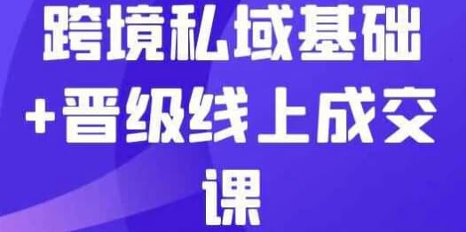 跨境私域基础+晋级线上成交课-十一网创