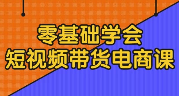 零基础学会短视频带货电商课-十一网创