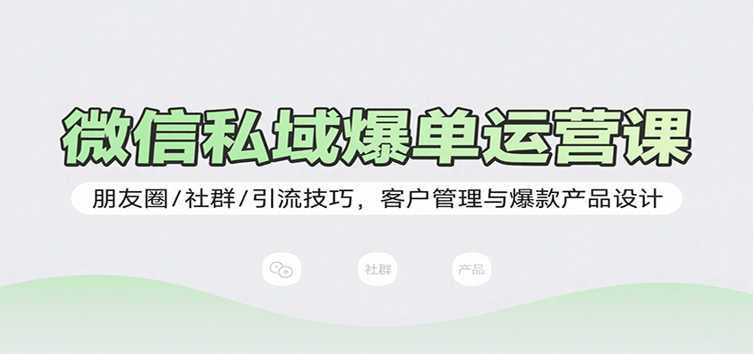 微信私域爆单运营课：朋友圈/社群/引流技巧，客户管理与爆款产品设计-十一网创