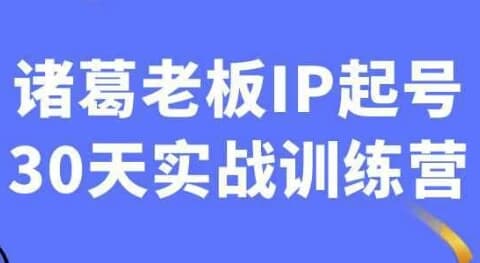 诸葛老板IP起号30天实战训练营-十一网创