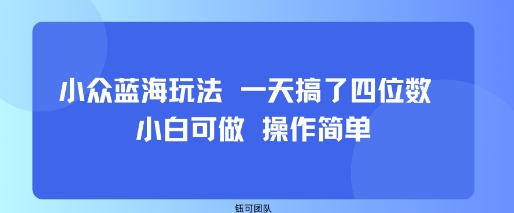 小众蓝海玩法一天搞了四位数小白可做操作简单-十一网创