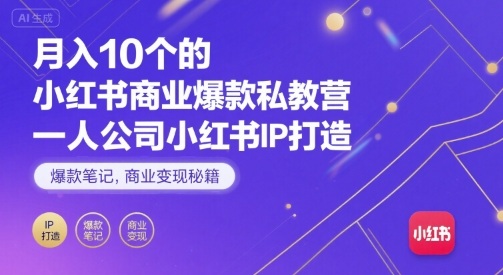月入10个的小红书商业爆款私教营，一人公司小红书IP打造，爆款笔记，商业变现秘籍-十一网创