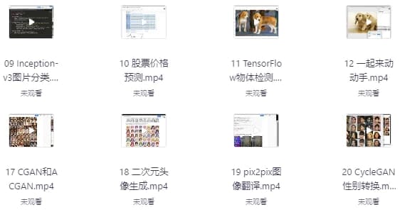 AI开发项目-十一网创