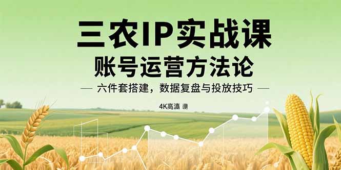 三农IP实战课：账号运营方法论，六件套搭建，数据复盘与投放技巧-十一网创