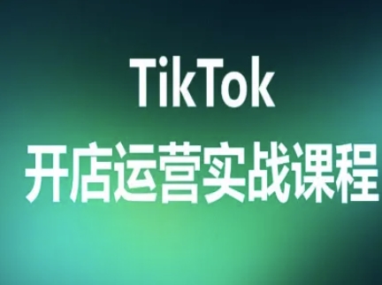 TikTok开店运营实战课程，TK跨境电商实操全流程-十一网创