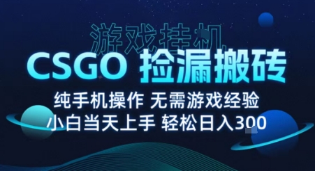 8月最新游戏搬砖，CSGO纯挂G，不需要玩游戏，实现真挂G，月入1W+【揭秘】-十一网创